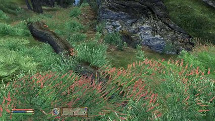 Oblimeg 026 CUO is hard for lv3