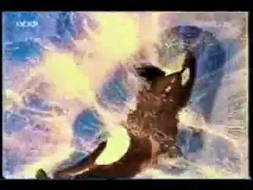 Shamu-*Amazing*