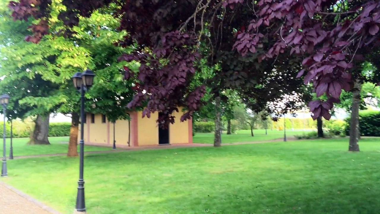 Toscana, Vad di Chiana, azienda vitivinicola bio, informazioni +39 3488048170- mail : rinaldoguarinoni69@hotmail.com