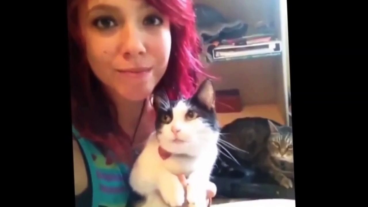 Funny Videos - Funny Cats - Funny Pranks - Funny Animals Videos - Funny Dogs 2015