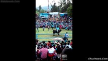 SUPER JARIPEO EXTREMO LOS AJOLOTES VALIENTES JINETES MONTAN A LOS TOROS MAS SALVAJOTES DE LA GANADERIA LOCAL ORGULLO DE MEXICO JUNIO 2015