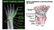 How To Avoid Wrist Pain & Injuries: 4 Tips To Prevent Wrist Injuries