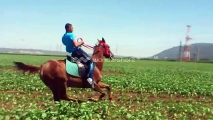 خيول الحليصه