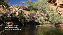 Galvans Gorge - The Kimberley, Western Australia
