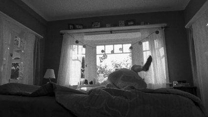 Zac Brown Band - Loving You Easy