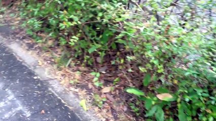 TVアニメ「境界の彼方」ロケ地２・ぐるり一周歩いてみた。