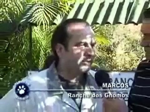 Leão Alex no Rancho dos Gnomos