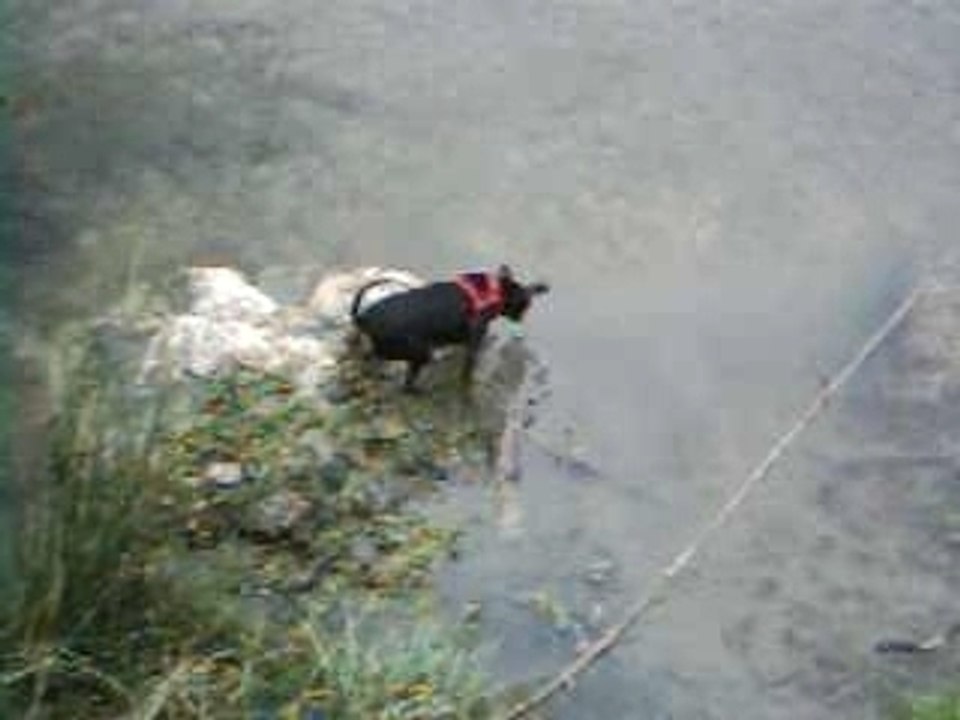 où sont les cailloux??