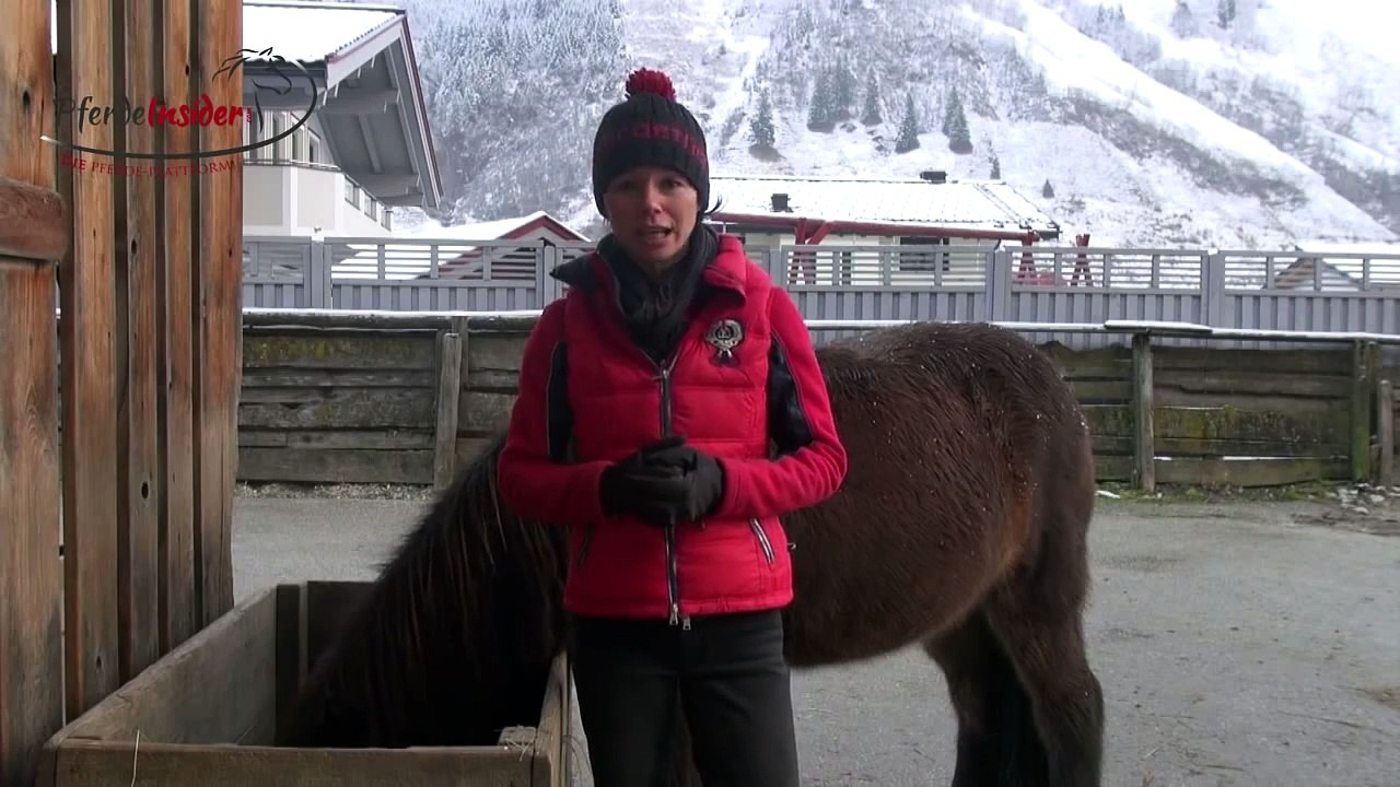 Warum Narben für Pferde gefährlich sein können!