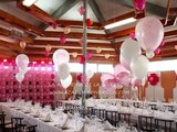 DECORACION CON GLOBOS AMAESTRADOS DE 