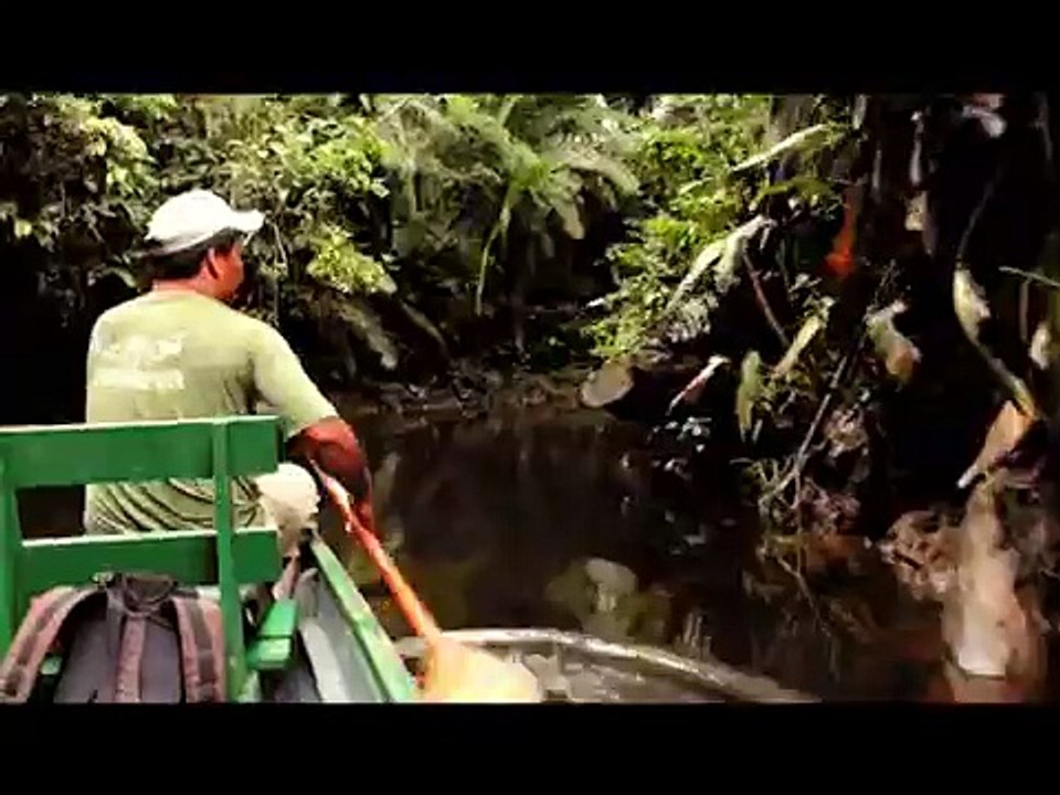 The Shaman Song, I Am Yasuni
