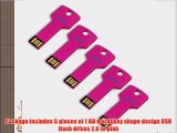 Litop? Pack of 5 Hot Pink 1GB Metal Key Shape USB Flash Drive USB 2.0 Memory Disk With 5 Protective