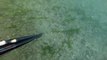 Spearfishing NJ - Flounder