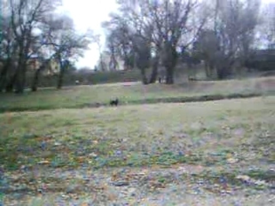 course aprés les cailloux