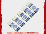 Litop 8GB Pack of 5-White With Blue Pattern USB 2.0 Flash Drive for Data Storage and Transfer