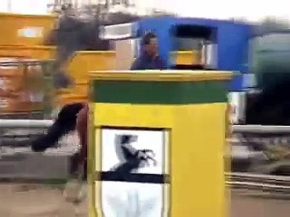 Oldenburger Sportpferd mit sehr guter Abstammung