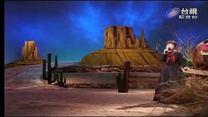 傅薇-THE RIVER OF NO RETURN