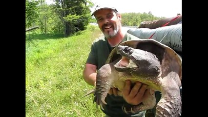 Snapping Turtle Damn Near Took My Face Off