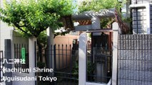 八二神社 鶯谷 东京/ Hachijuni Shrine Uguisudani Tokyo/ 우구 이스 다니 도쿄