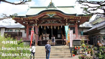 今戸神社 浅草 东京/ Imado Shrine Asakusa Tokyo/ 이마 신사 아사쿠사 도쿄