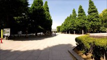 靖国神社 九段下 东京 / Yasukuni Shrine Kudanshita Tokyo /야스쿠니 신사 쿠단 시타 도쿄