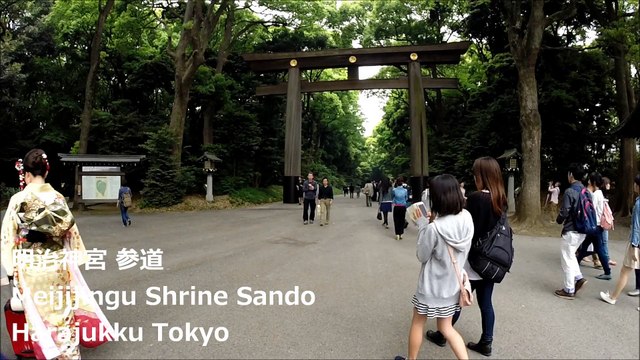 明治神宮 参道 原宿 东京 / Meiji Jingu Shrine Sando Harajuku Tokyo / 메이지 신궁 참배 하라주쿠 도쿄