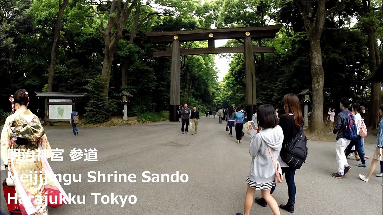 明治神宮 参道 原宿 东京 / Meiji Jingu Shrine Sando Harajuku Tokyo / 메이지 신궁 참배 하라주쿠 도쿄