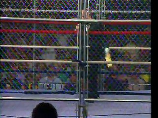 4-6-84 Hogan vs. Studd Cage
