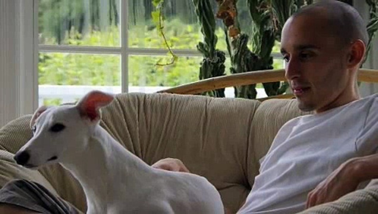 Einstein The White Whippet