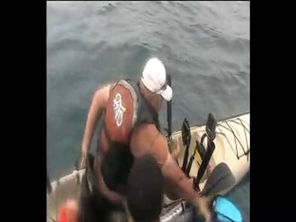 Great White shark says hello to kayak fisherman - Long Reef, Sydney Australia