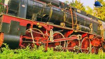 Aburoasa 142.044 Steam Locomotive/Dampflok in Vadu Crisului pe Apus/on Sunset
