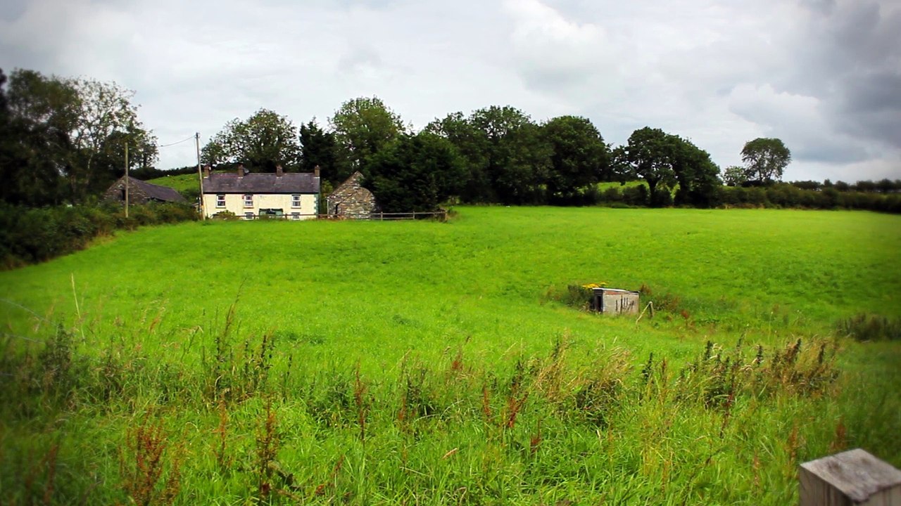 Celtic Dreams - DM Kruger - Highland Home