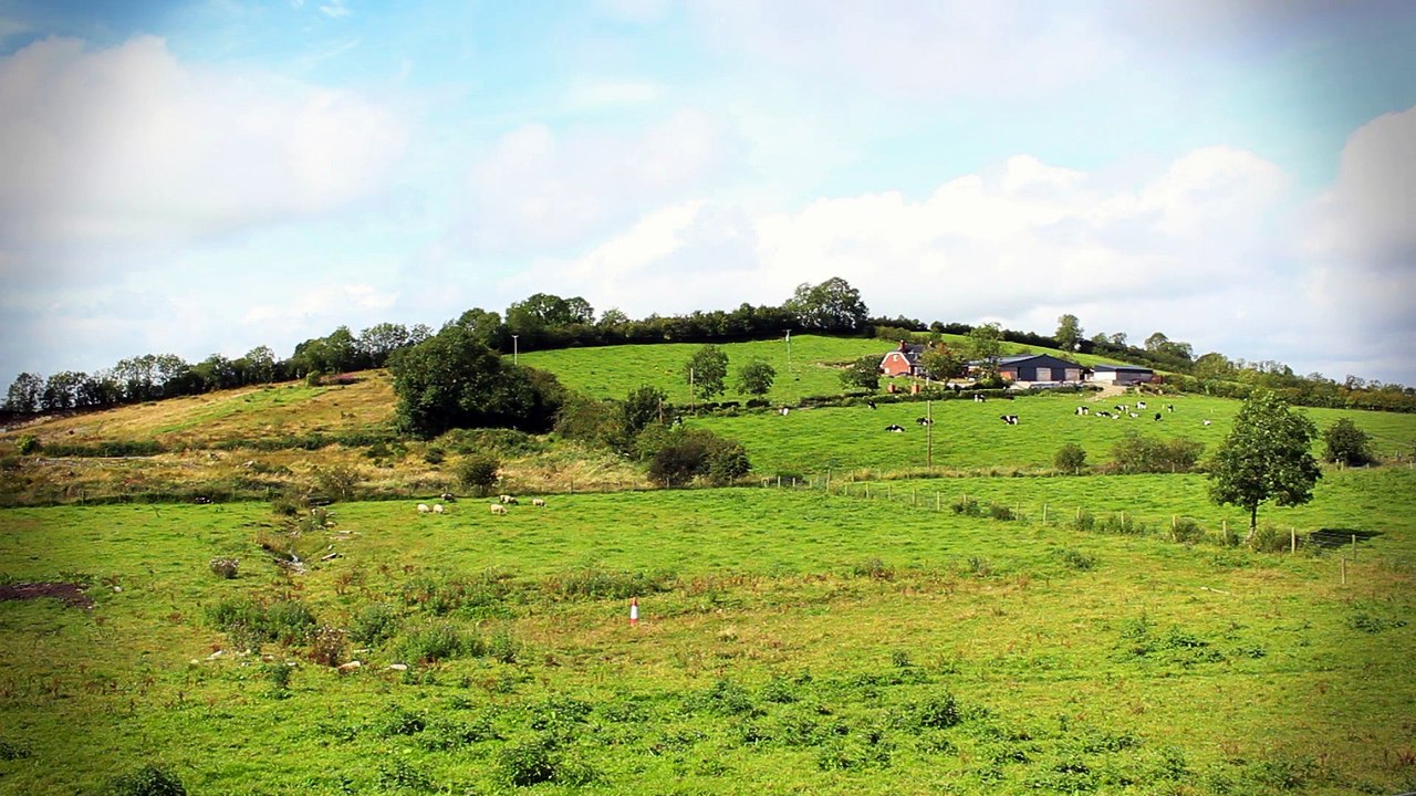 Celtic Dreams - DM Kruger - Road To Dublin