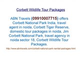 Jim Corbett National Park