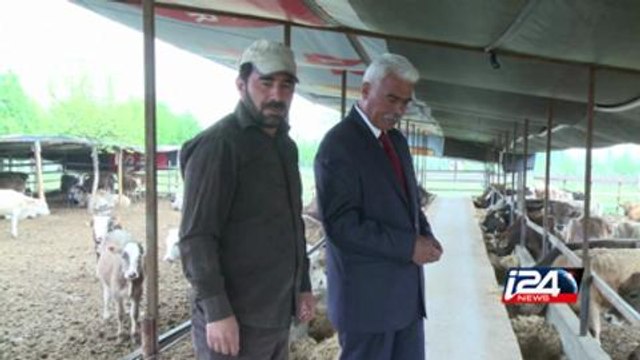 Turquie: incidents 2 jours avant les élections législatives