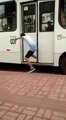 Blague du lacet à un chauffeur de bus (Fail) : jambe coincée!