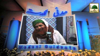 Quran Parhna Seekh Lijiye - Maulana Ilyas Qadri - Madani Guldasta 173