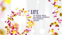 After Effects Project Files - Romantic Titles - VideoHive 10285012