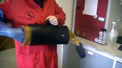 How Semen Is Collected For Artificial Insemination