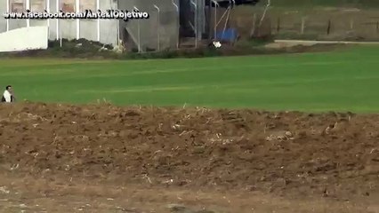 Galgos vs Liebres how to catch a rabbit