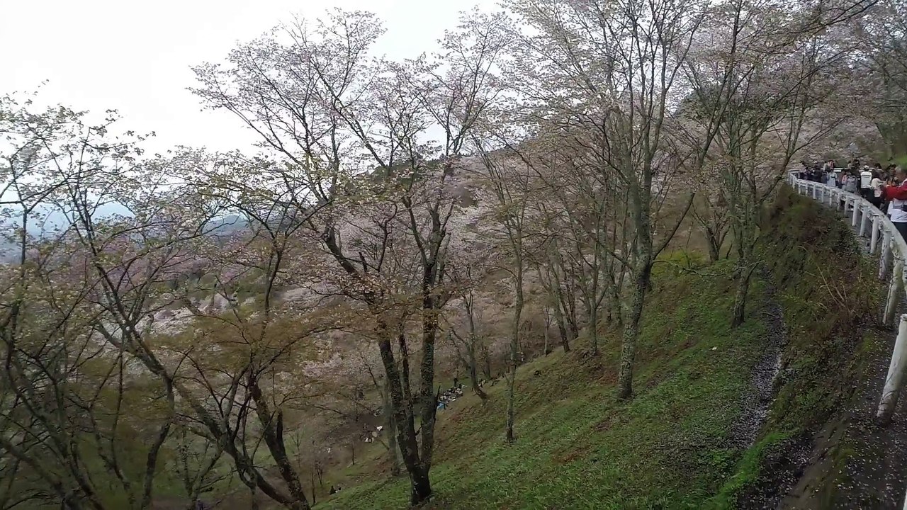 Yoshinoyama
