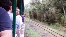 Tren de Cataratas del Iguazu - Puerto Iguazu (lado Argentino