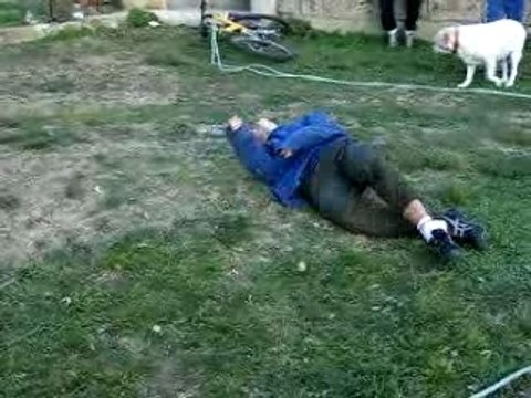 French stunt(jackass, cascade,yamakasi)