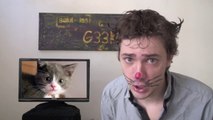 Mes amis les chatons - SLG N°9 - MATHIEU SOMMET