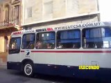 Buses  en  Montevideo -Uruguay--2015