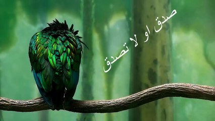 شبح يسقط سيدة أرضا