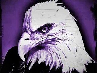 eagle sounds - cri de l aigle - adler geräusche - odgłos orła