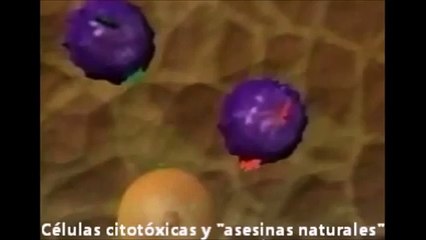 Sistema inmune defensa contra virus y bacterias
