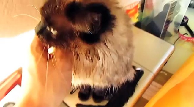 しおちゃん【おしっこレスリングでシャワー】T2 after taking shower.