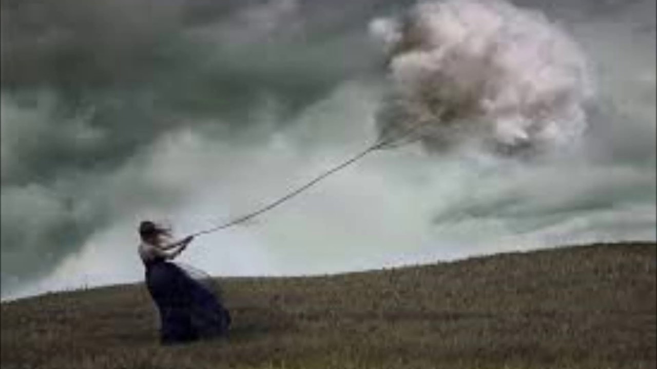 Birch Book - Will Of The Wind